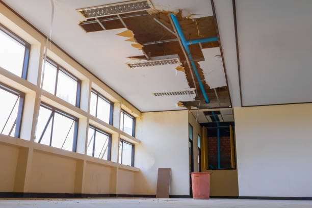  Pacific, WA Water damage restoration Pros
