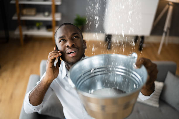 Best 24-hour water damage restoration  in Pacific, WA