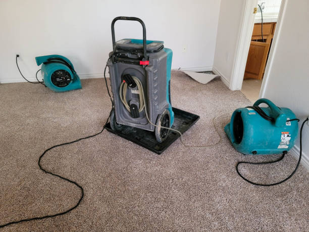 Best Carpet water damage restoration  in Pacific, WA