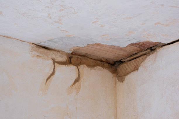 Pacific, WA Water damage restoration Company