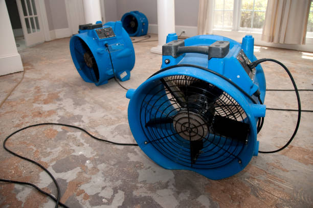 Best Flood restoration services  in Pacific, WA