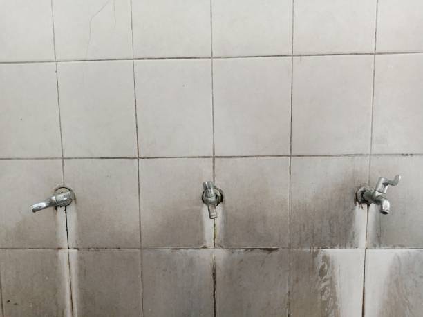 Best Local water damage restoration  in Pacific, WA