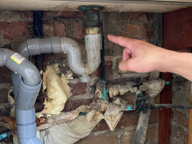 Best Water damage cleanup near me  in Pacific, WA