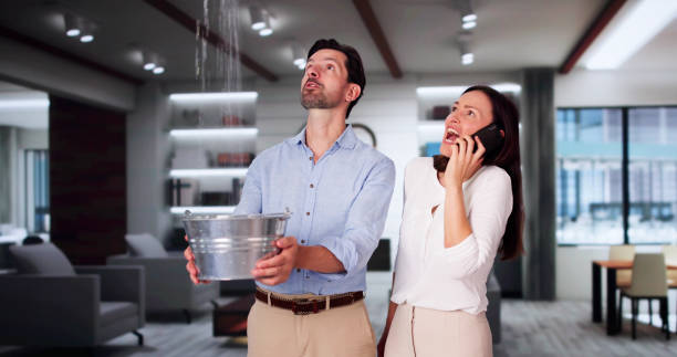 Best Water damage contractors near me  in Pacific, WA